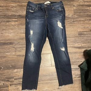 Torrid 14r ripped jeans